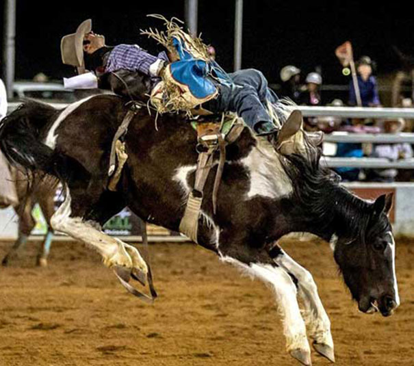 Mt Isa Rodeo